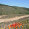 Hitos del Rodenal