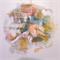 S/T 13